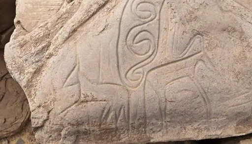 رسميا.. إدراج نقوش صخرية تاريخية بضواحي سيدي إفني ضمن الآثار الوطنية