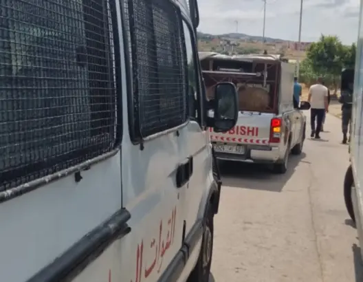 سلطات طنجة تحجز أغنام الأضاحي تنفيذا للتوجيه الملكي بعدم الذبح