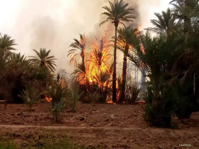 حريق بإحدى واحات طاطا