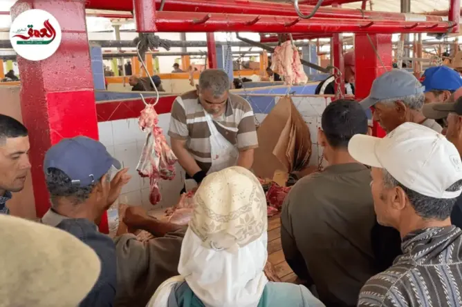 إقبال “غير مسبوق” على اللحوم بالجديدة