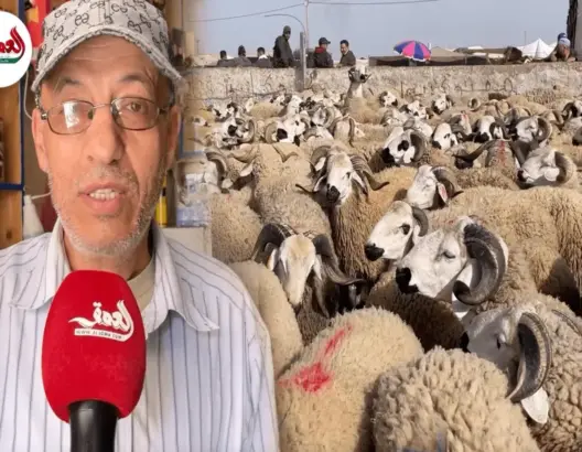 زجال يستحضر ذكريات إلغاء الأضحى في الثمانينات والتسعينات
