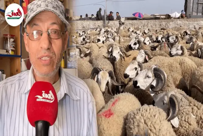 زجال يستحضر ذكريات إلغاء الأضحى في الثمانينات والتسعينات