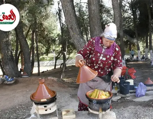 نضوب “عين السلطان” يقضي على السياحة بإيموزار كندر
