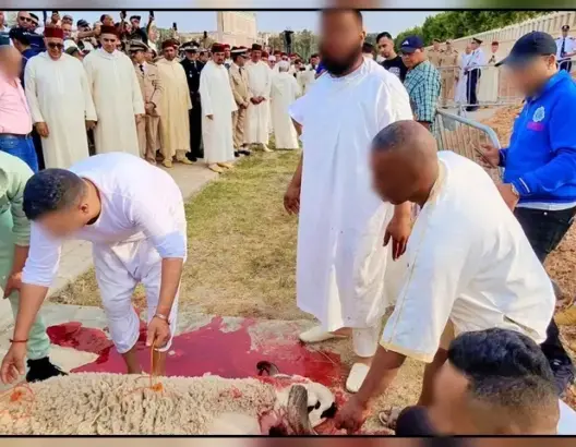 والي فاس يغيب عن نشاط رسمي بحضور الوزير بنسعيد.. ومصادر: مؤشر على إعفائه بسبب الأضحية