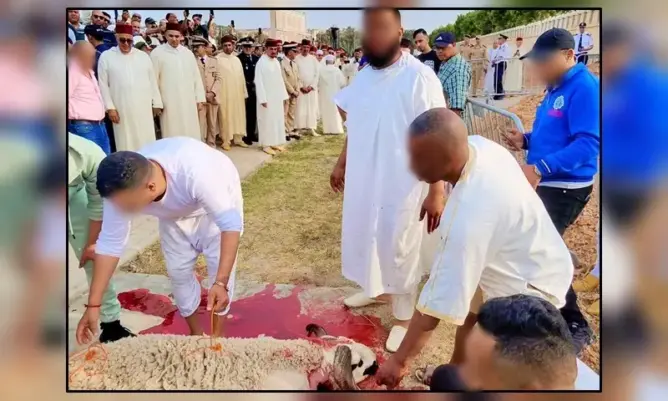 والي فاس يغيب عن نشاط رسمي بحضور الوزير بنسعيد.. ومصادر: مؤشر على إعفائه بسبب الأضحية