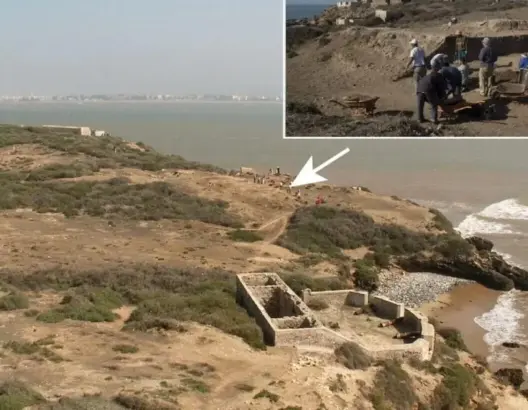 اكتشاف أحافير نادرة على جزيرة موغادور بالصويرة يظهر قدم التجارة البحرية بالمغرب