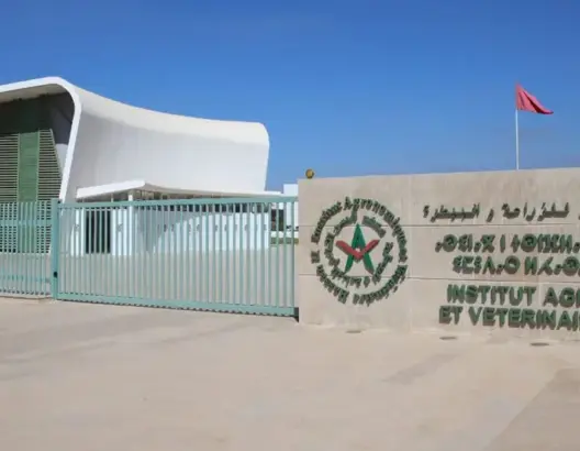طلبة معهد الزراعة والبيطرة يشترطون تلبية مطالبهم لتعليق الإضراب ويلوحون بالتصعيد