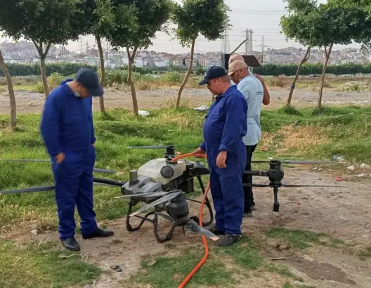 سلطات طنجة تطلق حملة رش المبيدات بطائرات مسيّرة لمحاربة الحشرات (صور)