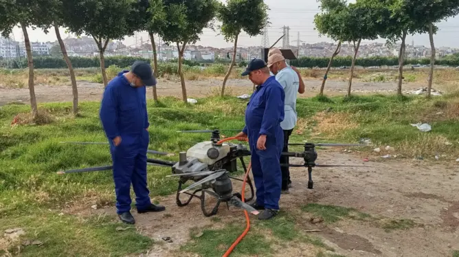 سلطات طنجة تطلق حملة رش المبيدات بطائرات مسيّرة لمحاربة الحشرات (صور)
