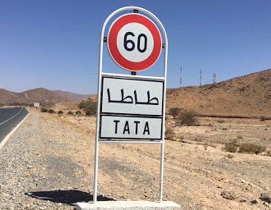 طاطا