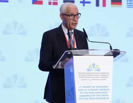 الطالبي العلمي يحذر من التوظيف السياسي لملف الهجرة