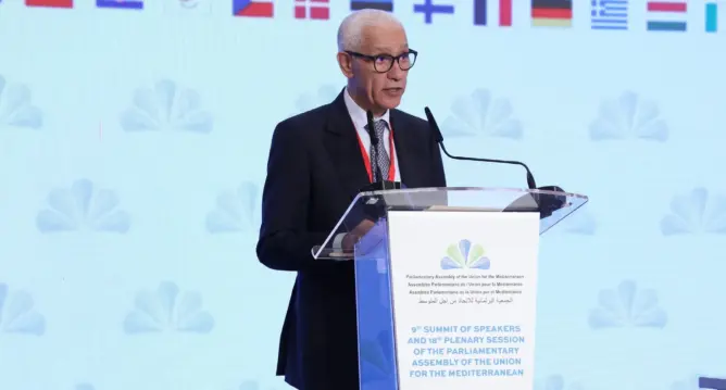 الطالبي العلمي يحذر من التوظيف السياسي لملف الهجرة