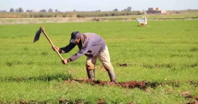 احتقان في النواصر .. ملاك الأراضي يلوحون بالقضاء بعد رفض منحهم شهادة الإعفاء الضريبي