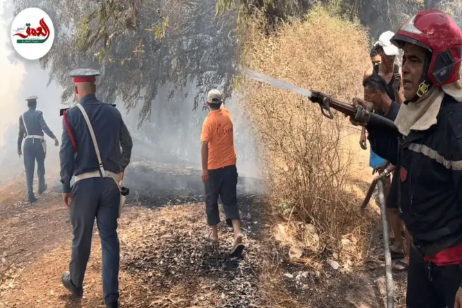 حريق يلتهم غابة سيدي علي بأزمور