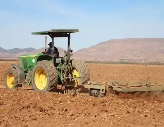 نمو الاقتصاد المغربي يرتفع إلى 4,8% مدفوعا بانتعاش الفلاحة والبناء