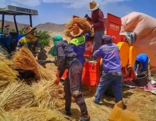 في حادثة مأساوية.. آلة “درس” تودي بحياة فلاح بالرشيدية