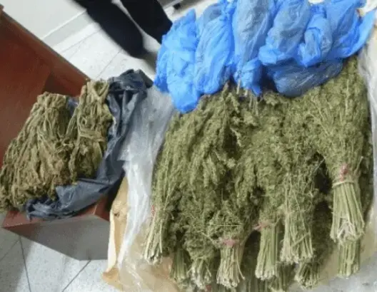 ضبط 20 كيلوغراما من الكيف بجماعة الخنك نواحي الرشيدية