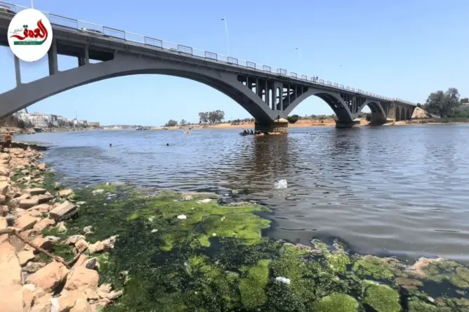 حرارة الصيف تدفع أطفال أزمور إلى السباحة في نهر أم الربيع رغم التلوث