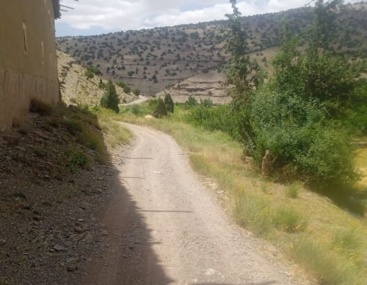 ساكنة دوار أوزيغيمت تستنكر “صمت” المجلس الإقليمي لتنغير بشأن مسلك طرقي