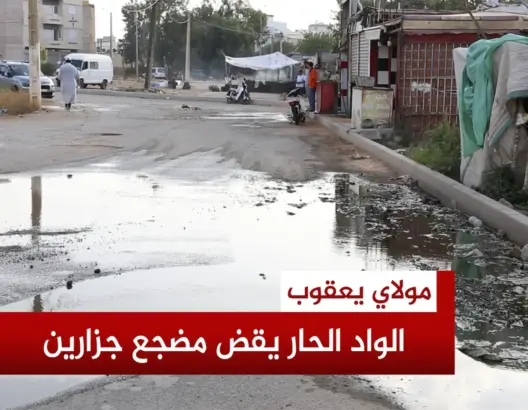الواد الحار يقض مضجع جزارين بعين الشقف