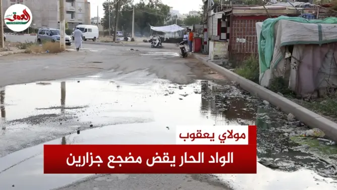 الواد الحار يقض مضجع جزارين بعين الشقف