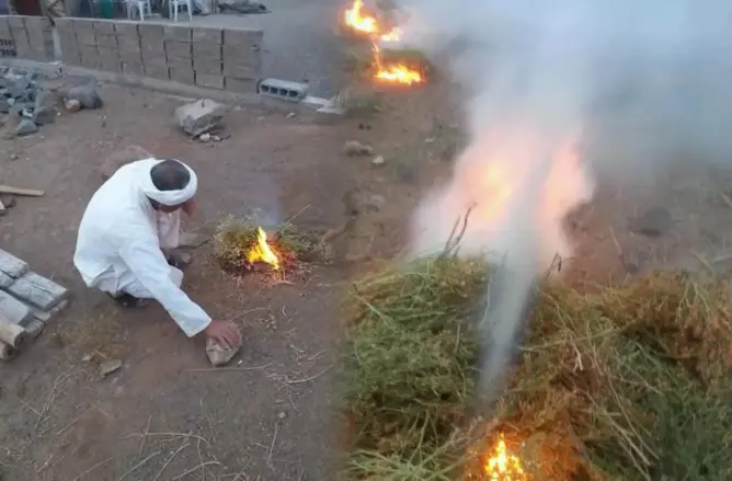 الأمازيغ يحيون طقس “لعنصرت” .. عيد الحصاد والخيرات بدخان البركة ومكافحة الشرور