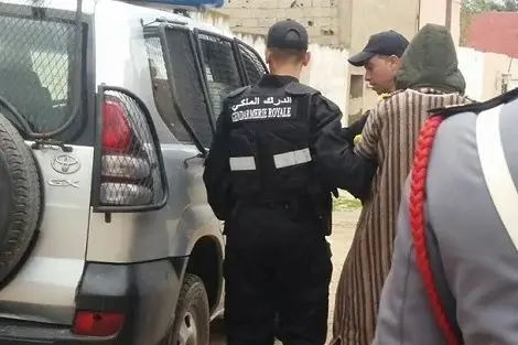 الدرك الملكي يضع حدا لنشاط مروج مخدرات بالرشيدية