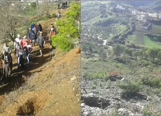 “أراضينا ليست للبيع ولا للتهميش”.. صرخات من الجنوب الشرقي بسبب تأخر تسوية أراض سلالية