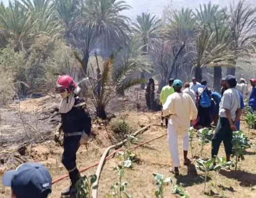 اندلاع حريق مهول في حقول أفلاندرا نواحي زاكورة