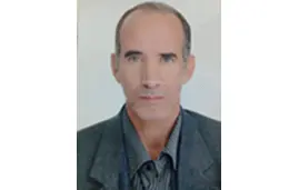 ليلةٌ بلا زئير في بوسطن