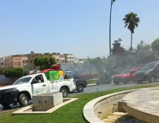 ابن امسيك تواجه غزو الحشرات والقوارض بحملة صيفية لتحصين الأحياء من الأوبئة