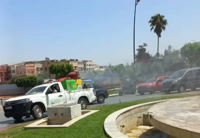 ابن امسيك تواجه غزو الحشرات والقوارض بحملة صيفية لتحصين الأحياء من الأوبئة