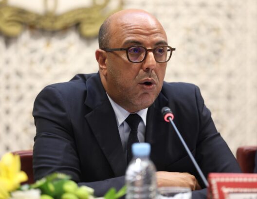 محمد ولد الرشيد، رئيس مجلس المستشارين