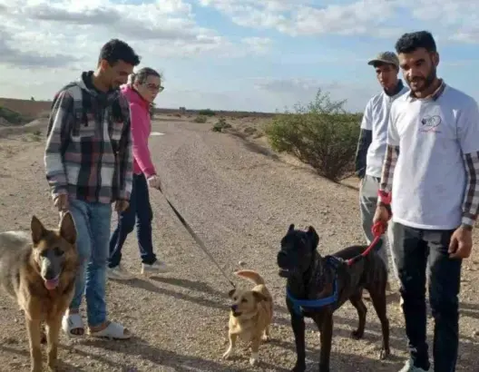 مشروع إيطالي في المغرب يجمع بين إنقاذ الحيوانات وخلق فرص شغل للشباب
