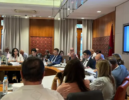 بنسعيد يتشبث بـ”الانتداب للناشرين”.. والمعارضة تطلب فحص القانون دستوريا