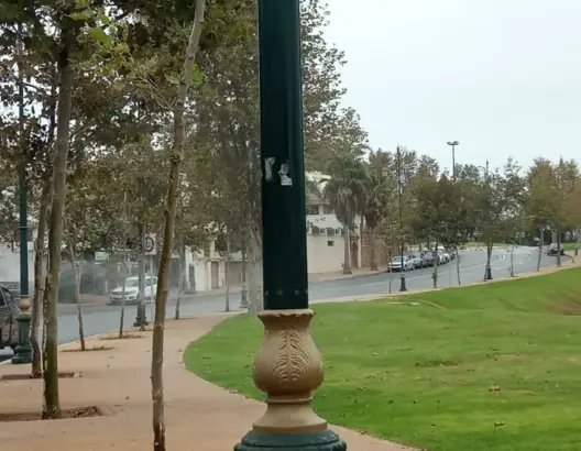 أسراب البعوض تغزو أحياء الرباط.. ومجلس المودني في قفص الاتهام