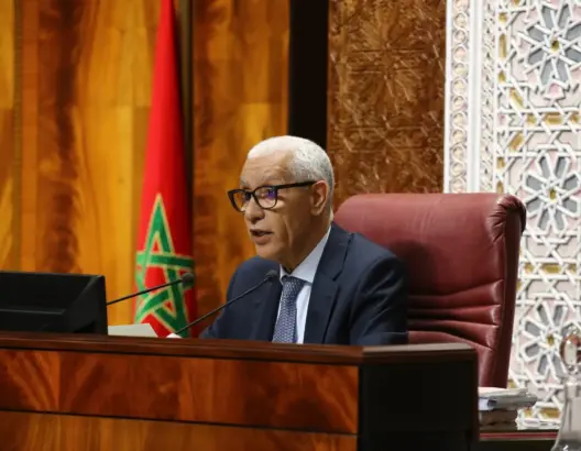 الطالبي العلمي: التشهير بالمؤسسات والمسؤولين جزء من أجندة ابتزاز خارجي