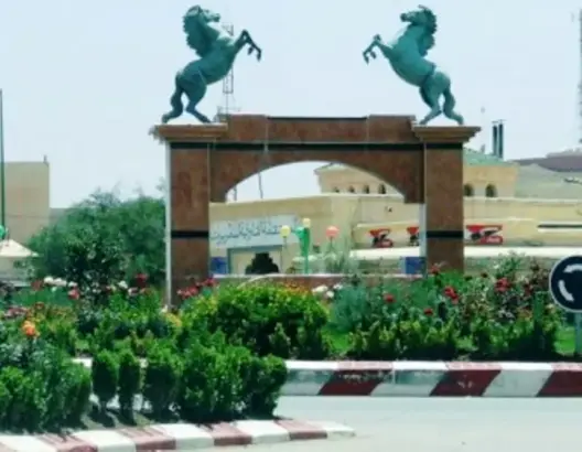 شباب يطلقون مبادرة “مريرت خضراء” لتوسيع المساحات الخضراء بالمدينة