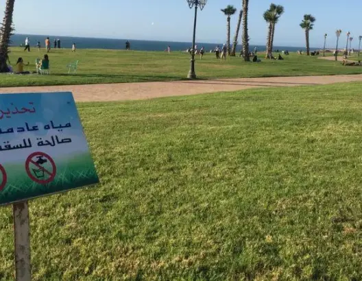 الدار البيضاء تطلق حملة بيئية كبرى لتشجير الشوارع والطرق السيارة بفضل المياه المعالجة