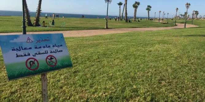 الدار البيضاء تطلق حملة بيئية كبرى لتشجير الشوارع والطرق السيارة بفضل المياه المعالجة
