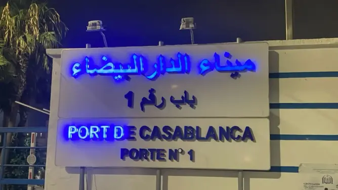 حكم قضائي بالحجز على شحنة أبقار يواجه عراقيل بميناء البيضاء