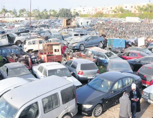 البيضاء تتخلص من “خردة الحديد”.. حملة ضخمة لتطهير المحاجز وتحويلها لمتنفسات خضراء