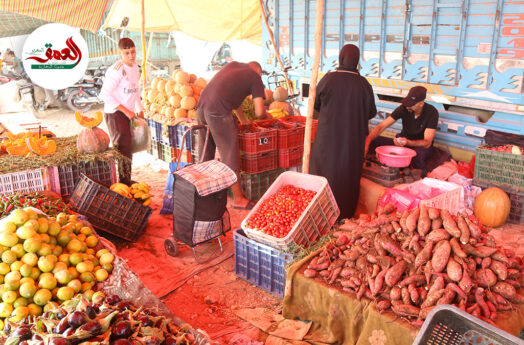 بين غلاء الأسعار ولهيب الحرارة.. اقبال على الفواكه أكثر من الخضر بالأسواق الأسبوعية