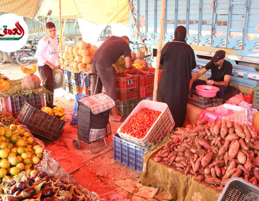 بين غلاء الأسعار ولهيب الحرارة.. اقبال على الفواكه أكثر من الخضر بالأسواق الأسبوعية