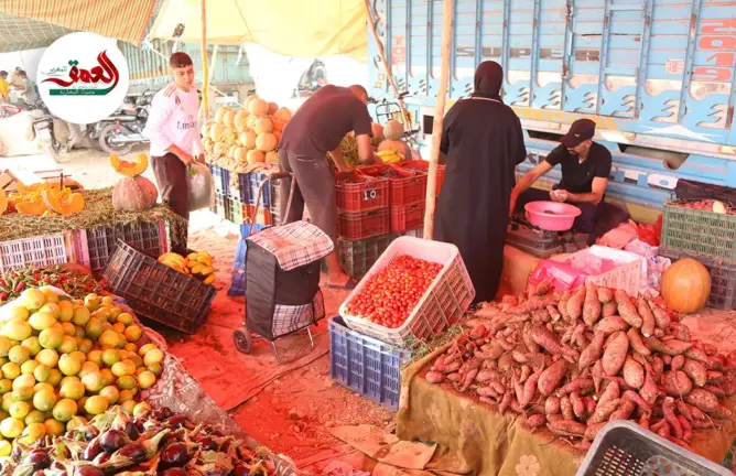 بين غلاء الأسعار ولهيب الحرارة.. اقبال على الفواكه أكثر من الخضر بالأسواق الأسبوعية