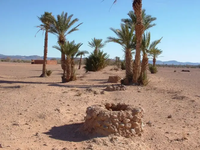 واحات المغرب تحت التهديد .. التغيرات المناخية والزراعة المكثفة تلتهم “النخيل”
