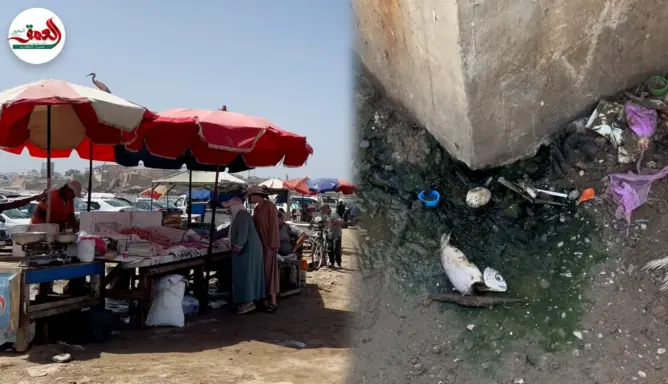 سوق السمك بمرسى سلا.. أسعار مستقرة وسط فوضى التنظيم وتردي النظافة (فيديو)