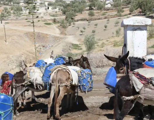 منع مراسل “العمق” من تغطية أزمة الماء بضواحي تاونات.. الشطط في السلطة يطفح فوق العطش (فيديو)