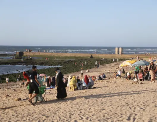 سكان يشتكون من تلوث البحر بمخلفات الدجاج