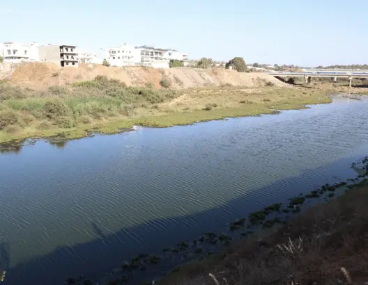 كارثة بيئية بالمحمدية